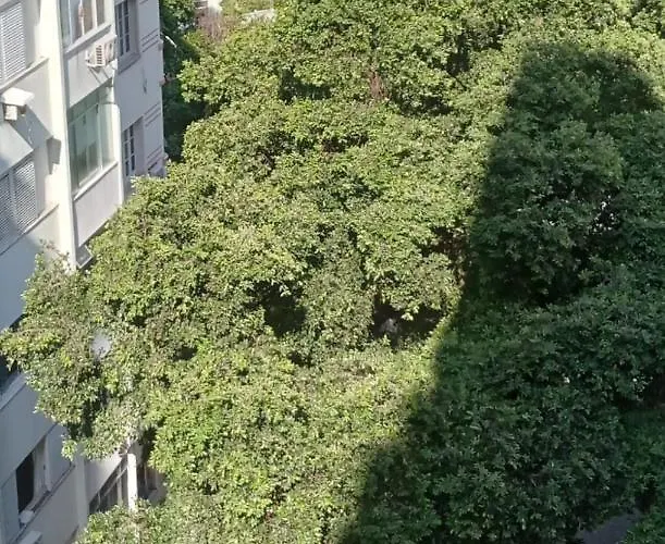 Appartement à 1 Chambre à Coucher